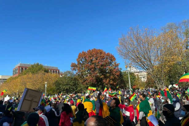 Whither Washington’s Stance on the Ethiopian Crisis?