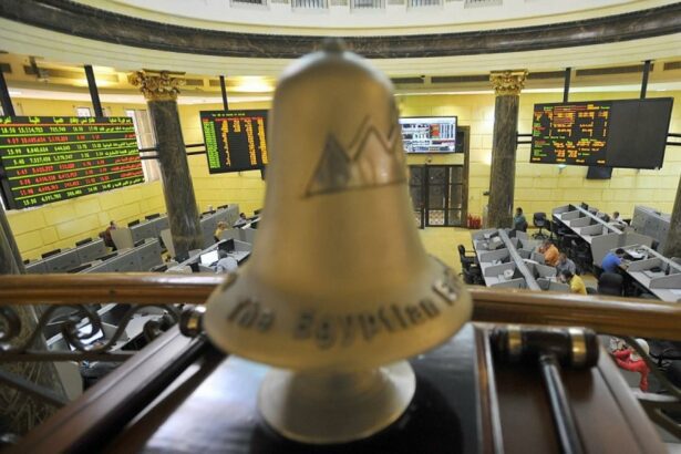 The Egyptian Exchange: 2021/2022 Harvest and Trends