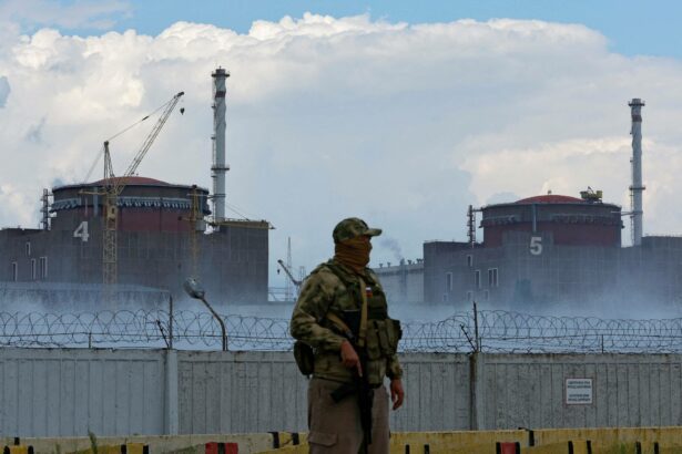 Critical Timing: Dimensions and Indications of the International Atomic Energy Agency's Mission to Zaporizhzhia Nuclear Power Plant
